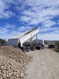 Vialidad Provincial realiza tareas en Monte León para garantizar la transitabilidad