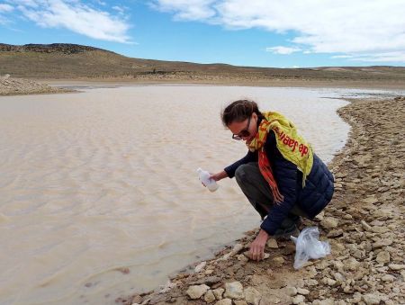 Informan exitosa finalización del programa inicial de exploración en Proyecto minero El Águila