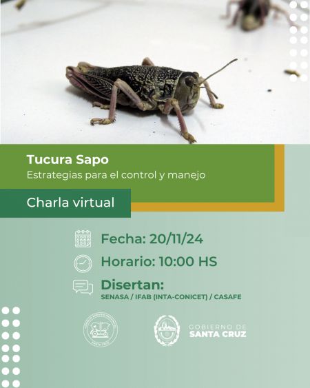 Tucura Sapo: jornada de capacitación para su control y manejo en Santa Cruz