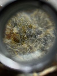 Constatan oro visible durante inspección en el proyecto Las Mellizas