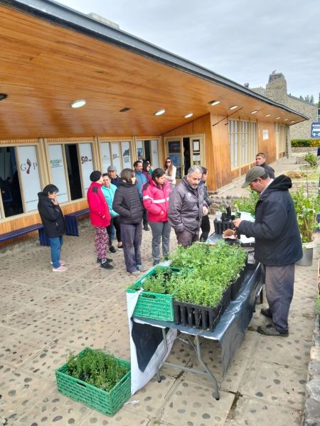 Entrega de plantines en el marco del Aniversario del Consejo Agrario Provincial