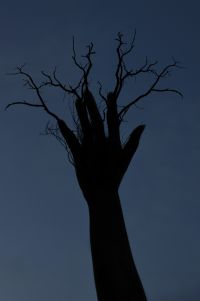 Nómina de ganadoras y ganadores del 7° Concurso Fotográfico Ambiental “Mensaje para el Ambiente”