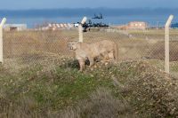 El manejo de la fauna silvestre no es un espectáculo.