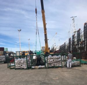 Buen comienzo de año para los puertos de la provincia