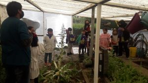 Educación Rural desarrolla nuevas actividades en la huerta orgánica