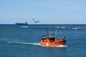 El buque Liliana volvió a operar y zarpó desde el puerto Caleta Paula