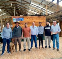 Se avanza en la exploración de nuevos mercados para la producción ovina