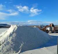 Vialidad concretó tareas sobre la Ruta 288 y continúa con el acopio de sal para el invierno