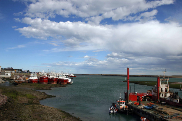 Aumentaron las capturas de pesca y el trabajo en puertos santacruceños durante el 2016