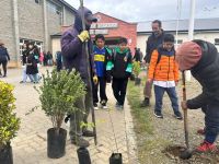 En el marco del programa “Viva Barrio - Somos Comunidad”, se realizó una jornada de plantación de especies nativas y ornamentales junto a estudiantes y la comunidad educativa.