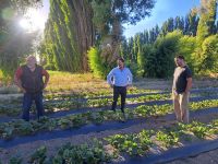 El Consejo Agrario Provincial relevó delegaciones del interior  de Santa Cruz