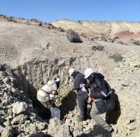 Santa Cruz apuesta al uranio como recurso clave para la transición energética