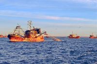 Pesca: Quedó oficialmente habilitada la apertura de la temporada de langostino 2026