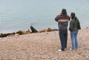 Obras para el desarrollo turístico en la costa de Santa Cruz
