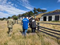 El Gobierno Provincial profundiza controles laborales en estancias del departamento Río Chico
