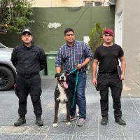 El gobernador Claudio Vidal anunció la incorporación de dos nuevos integrantes a la División Canes