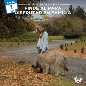 Mañana empieza el Finde XL en Santa Cruz