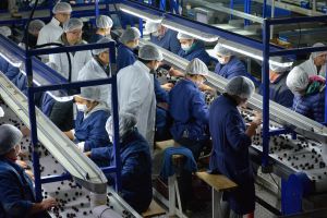 Destacan las posibilidades de negocios que se abren con China
