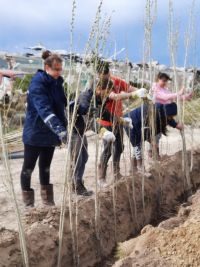 Servicios Públicos recibió 2000 árboles para plantar en Puerto San Julián