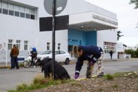 Puesta en valor del predio del Hospital Regional Río Gallegos.