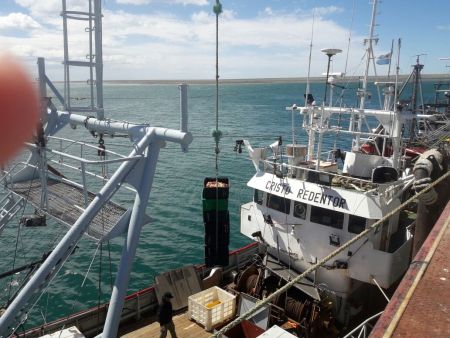 Comenzaron las descargas de Centolla en Puerto San Julián