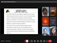 Ambiente: lanzan campaña para concientizar sobre el impacto del plástico en la vida marina