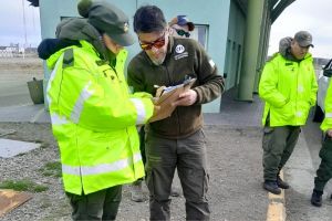 Operativo de control en Güer Aike: Decomisaron ejemplares de trucha en veda