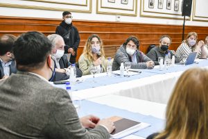 Alicia: “Quiero que construyamos Tucu Tucu de manera colectiva”