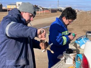 Servicios Públicos continúa con los trabajos de conexiones domiciliarias en Rio Gallegos