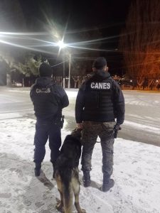 La Policía de Santa Cruz desplegó controles preventivos en El Calafate