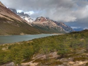 Se conocieron los ganadores del Tercer Concurso Fotográfico "Día del Árbol"
