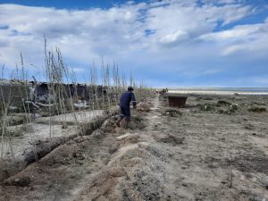 Servicios Públicos recibió 2000 árboles para plantar en Puerto San Julián