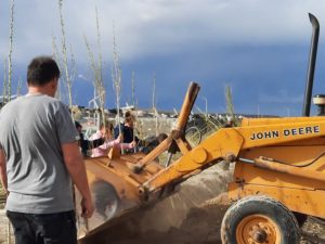 Servicios Públicos recibió 2000 árboles para plantar en Puerto San Julián