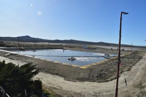 Servicios Públicos recibió 2000 árboles para plantar en Puerto San Julián