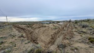 Servicios Públicos recibió 2000 árboles para plantar en Puerto San Julián