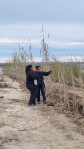 Servicios Públicos recibió 2000 árboles para plantar en Puerto San Julián