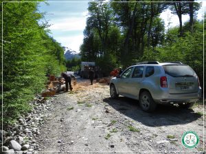 Delegación El Chaltén: Concretaron trabajos de poda y volteo de árboles peligrosos