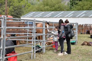 El Gobierno realizó importantes anuncios en la inauguración de la 47° Exposición y Feria de la Sociedad Rural Lago Argentino
