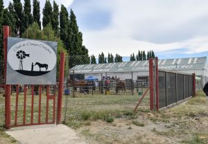 El Gobierno realizó importantes anuncios en la inauguración de la 47° Exposición y Feria de la Sociedad Rural Lago Argentino