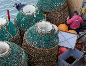 Hechos para Crecer: La incorporación de la pesca a la matriz productiva de Santa Cruz
