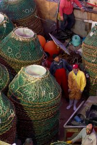 Hechos para Crecer: La incorporación de la pesca a la matriz productiva de Santa Cruz