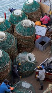 Hechos para Crecer: La incorporación de la pesca a la matriz productiva de Santa Cruz
