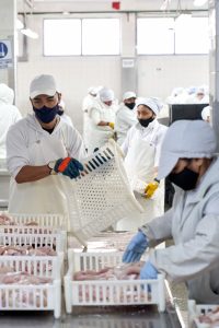 Hechos para Crecer: La incorporación de la pesca a la matriz productiva de Santa Cruz
