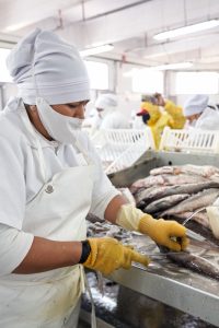 Hechos para Crecer: La incorporación de la pesca a la matriz productiva de Santa Cruz
