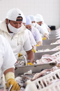 Hechos para Crecer: La incorporación de la pesca a la matriz productiva de Santa Cruz