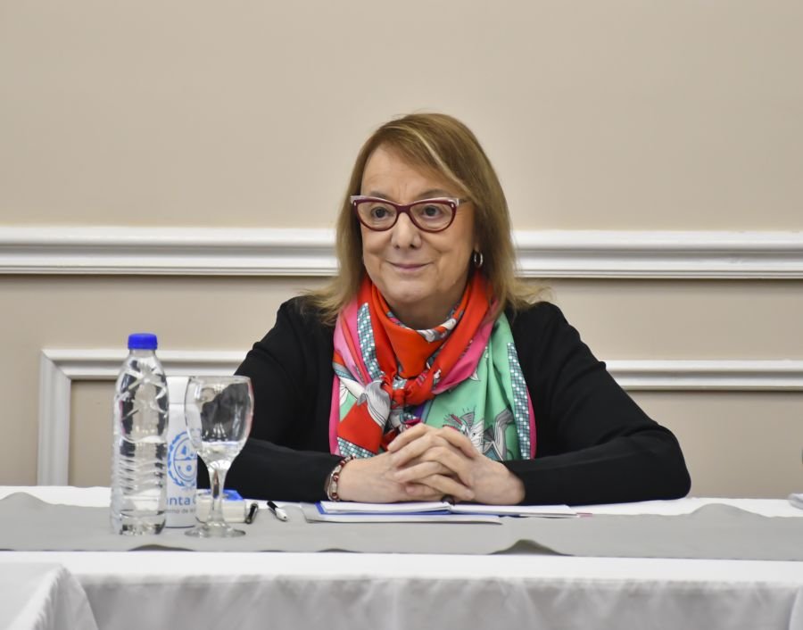 Alicia: “Defender la equidad en la distribución de los fondos es también defender la democracia”
