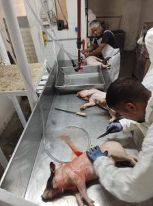 Concretaron faena de carácter comunitario en Caleta Olivia