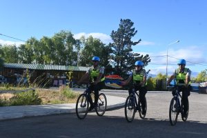 Concretan gran despliegue de Seguridad en la Fiesta Nacional de la Cereza