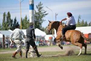 Sigue realizándose la 32ª Edición de la Fiesta Nacional de la Cereza en Los Antiguos