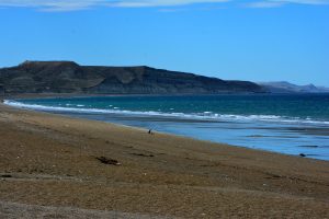 Parque Nacional Monte León, un refugio natural para la biodiversidad